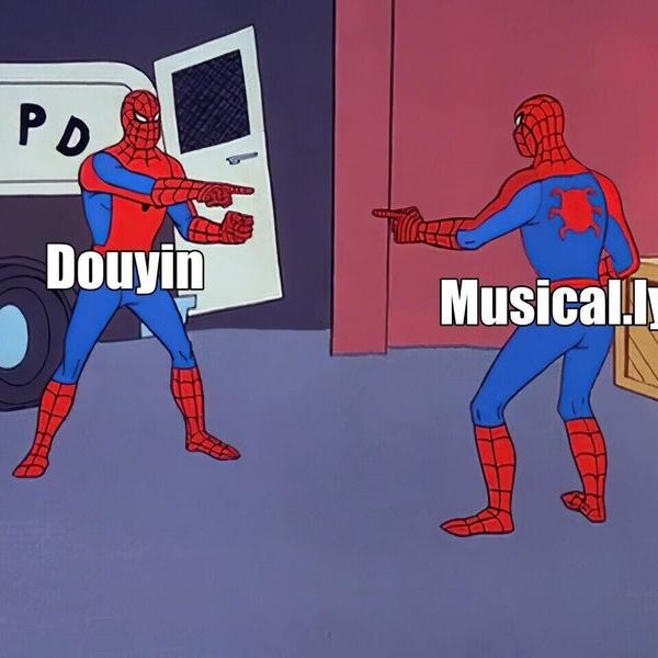 TikTokと組分け帽子（TikTokのアルゴリズムとインタレストグラフの構築）